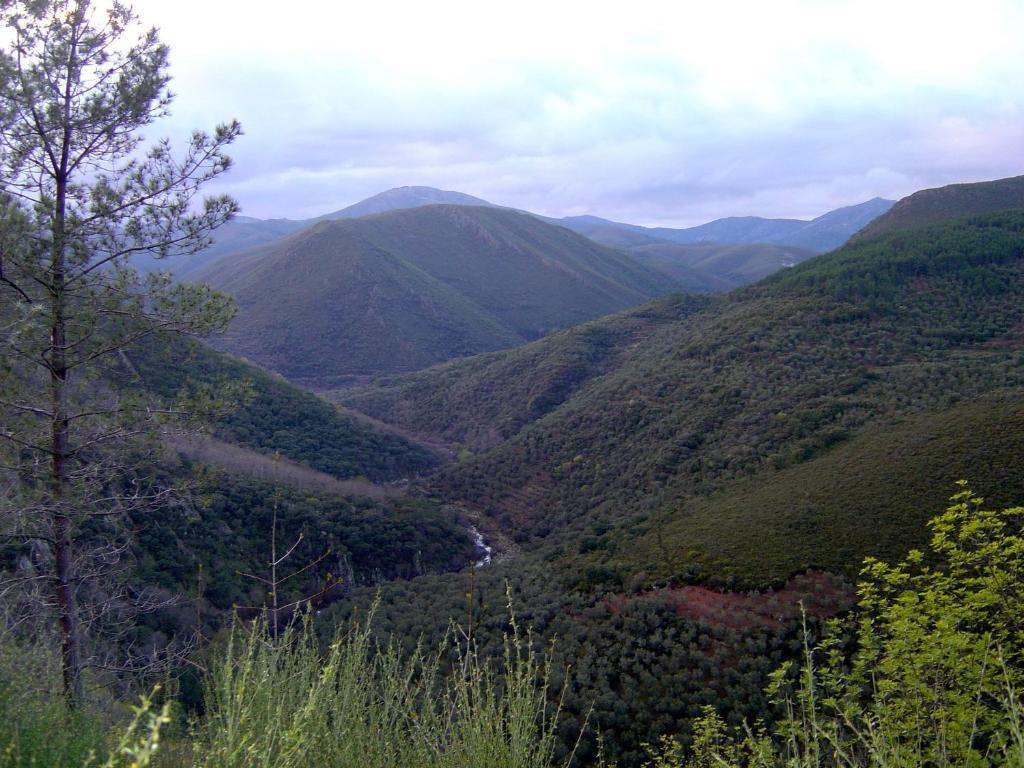 Alojamientos La Herrera Сан-Эстебан-де-ла-Сьерра Номер фото